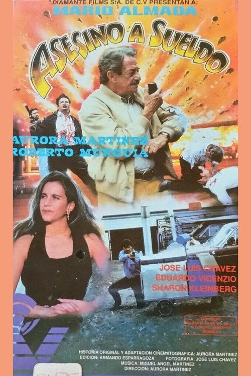 Asesino a sueldo Poster