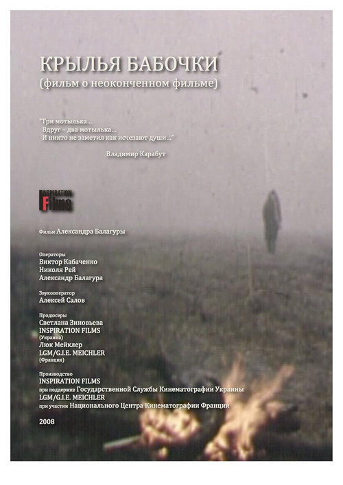 Wings Of Butterfly Poster