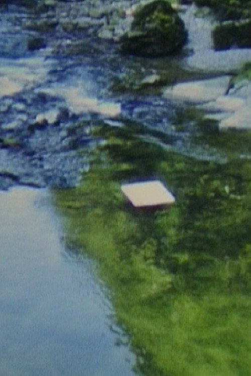 Paper in River Poster