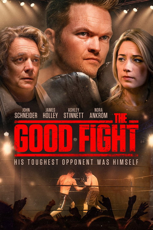 The Good Fight Poster