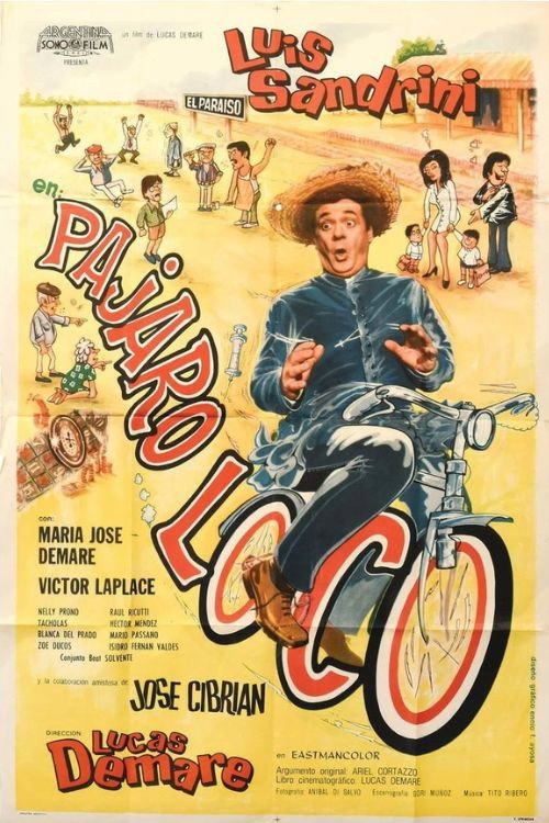Pájaro loco Poster