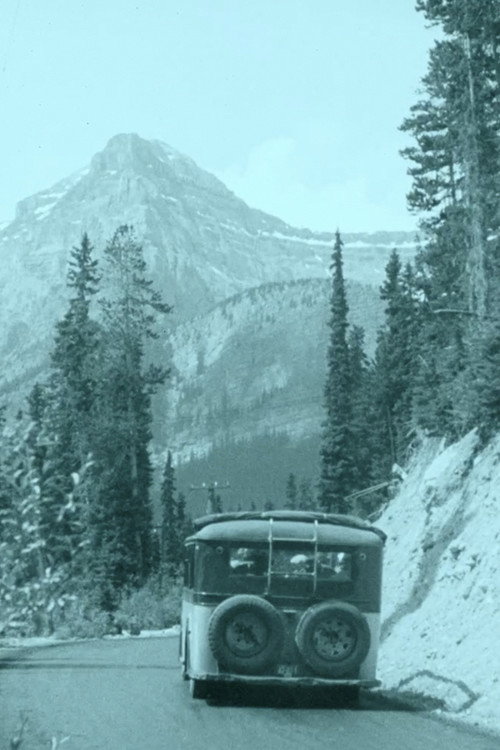 Skyline Motoring Poster