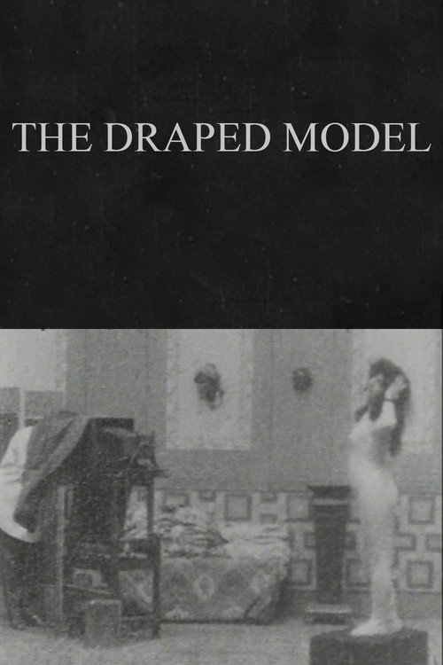 The Draped Model Poster