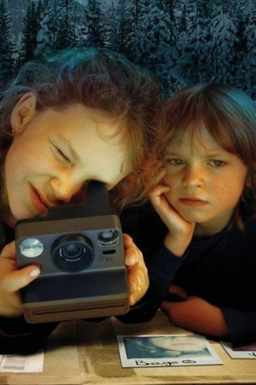 The Mystery Package Poster