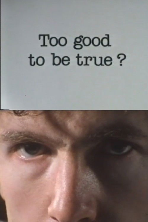 To Good To Be True? Poster