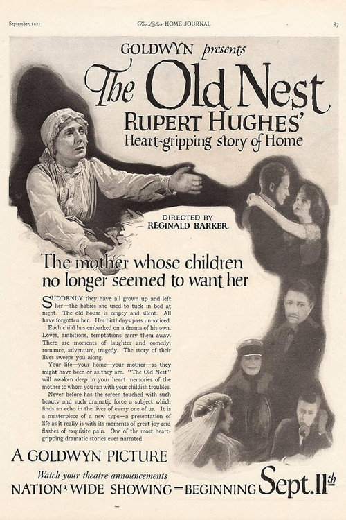The Old Nest Poster