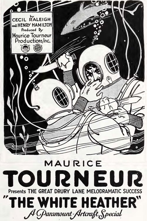 The White Heather Poster