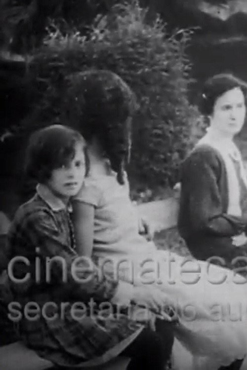 Taubaté em foco Poster