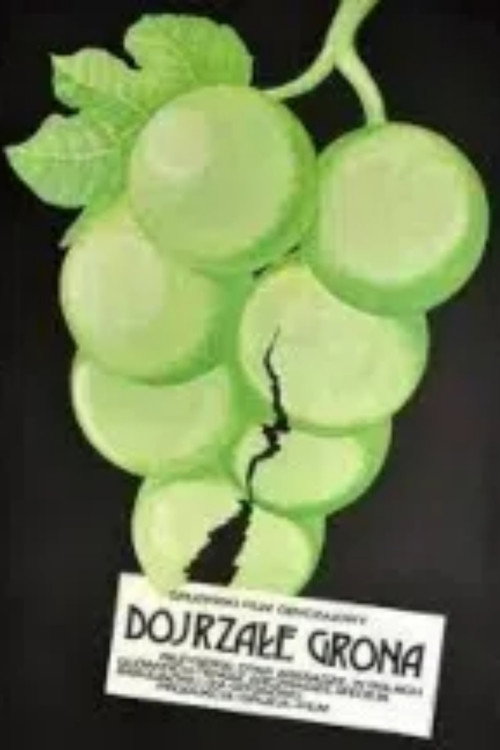 Ripe Bunches Poster