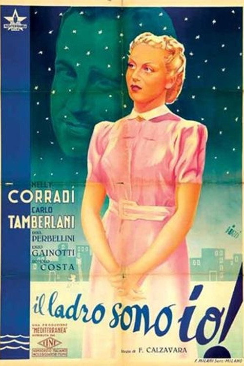 Il ladro sono io! Poster