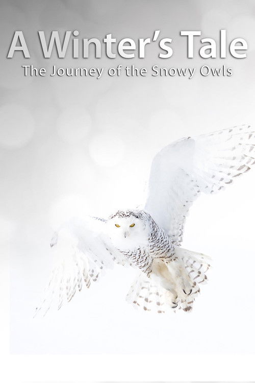 A Winter's Tale: The Journey Of The Snowy Owls Poster