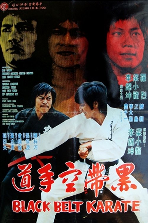 Black Belt Karate Poster