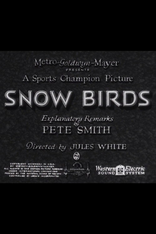 Snow Birds Poster