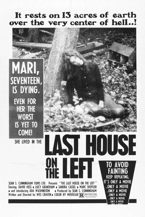 The Last House on the Left Poster
