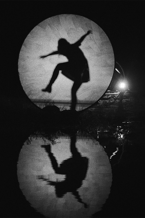 Shadow Nettes Poster