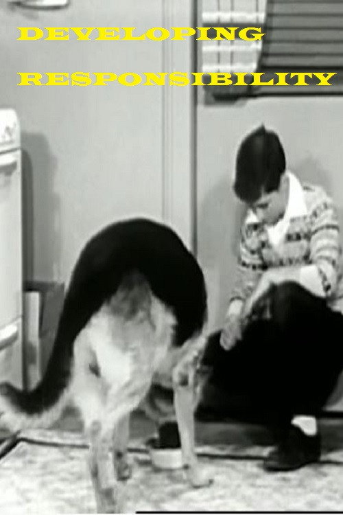 Developing Responsibility Poster