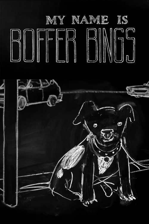 My Name Is Boffer Bings Poster