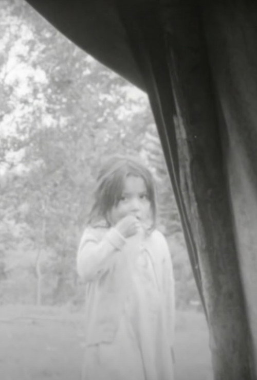 The Trout Lake Cree Poster