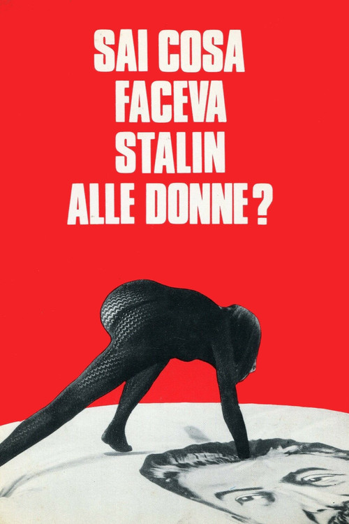 What Did Stalin Do to Women? Poster