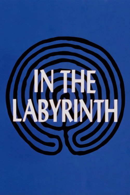 In the Labyrinth Poster