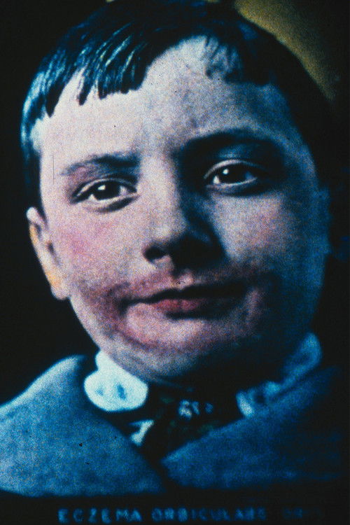 Secure the Shadow... 'Ere the Substance Fade Poster