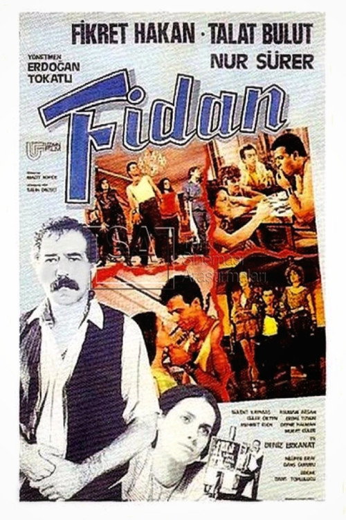 Fidan Poster