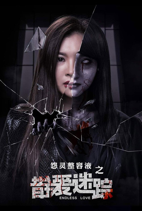 错爱迷踪 Poster