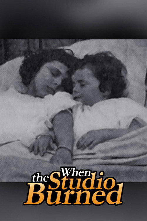 When the Studio Burned Poster