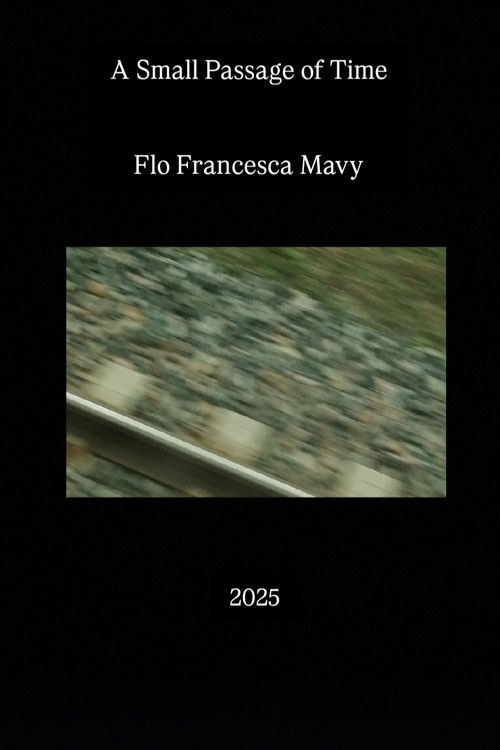 A Small Passage of Time Poster