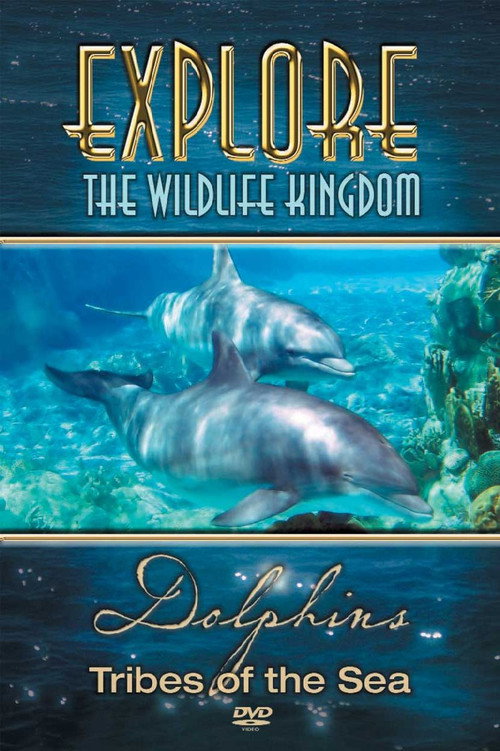 Explore the Wildlife Kingdom: Dolphins - Tribes of the Sea Poster