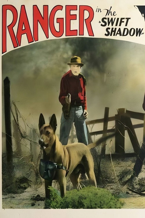 The Swift Shadow Poster