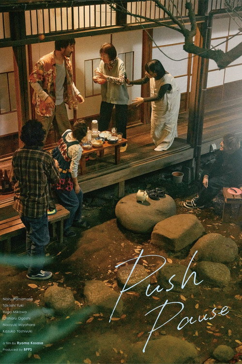 Push Pause Poster