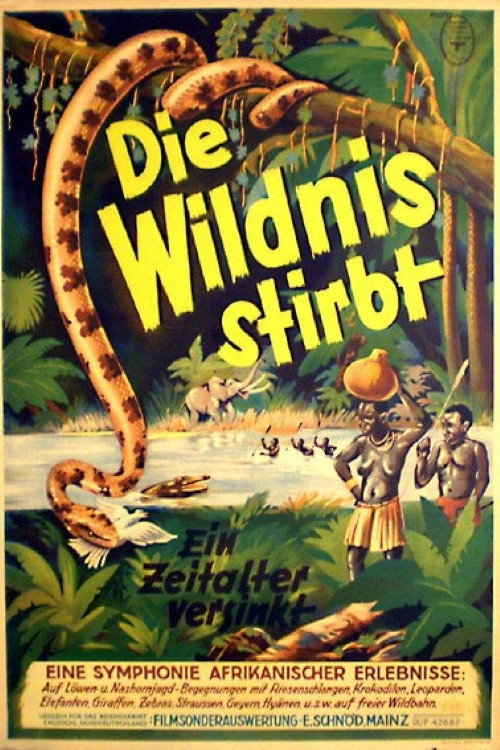 Die Wildnis stirbt! Poster