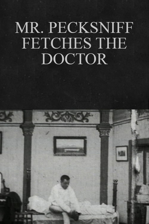Mr. Pecksniff Fetches the Doctor Poster
