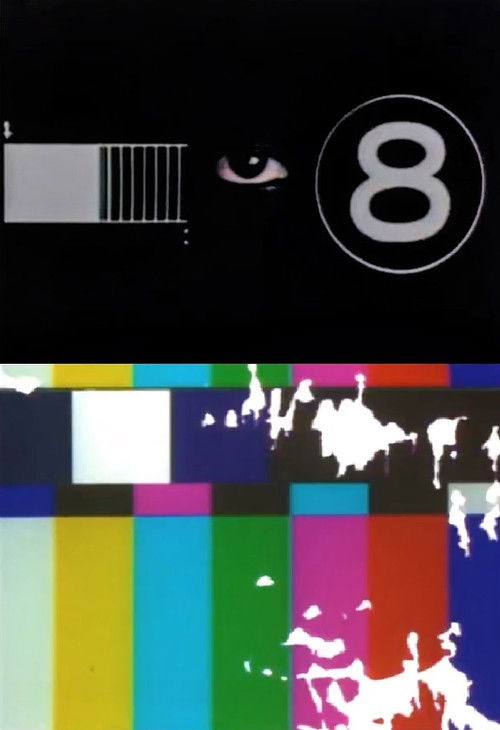 Vagina & Virgin Poster