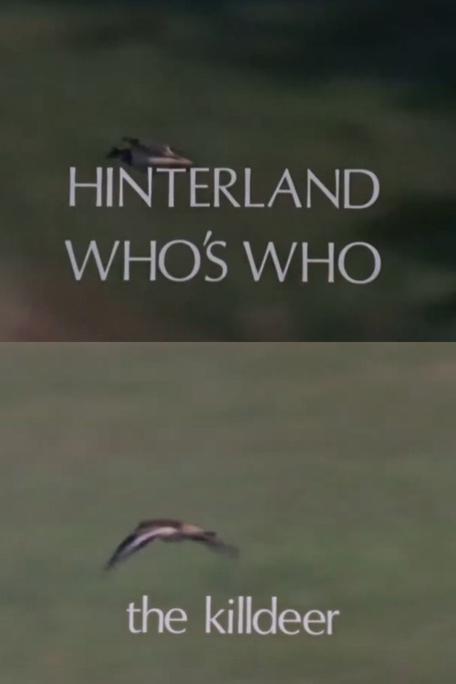 Hinterland Who's Who: Killdeer Poster