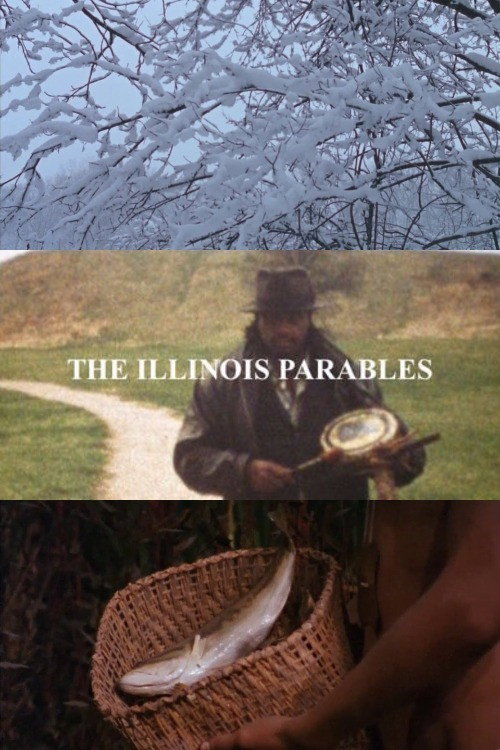 The Illinois Parables Poster