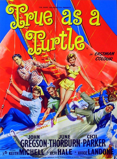 True as a Turtle Poster
