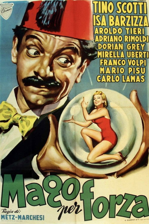 Il mago per forza Poster