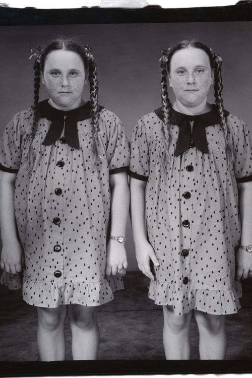 Twins Poster