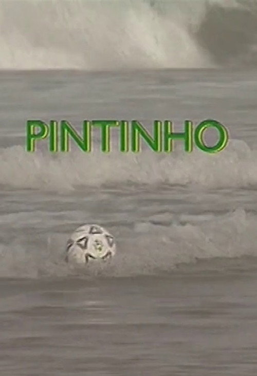 Pintinho Poster