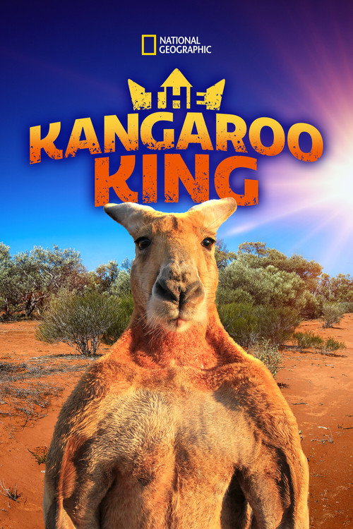 The Kangaroo King Poster