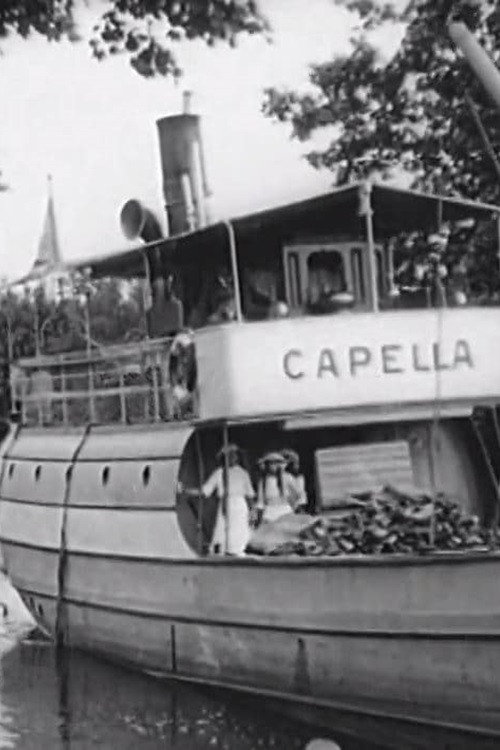 Dalsland's Canal Poster