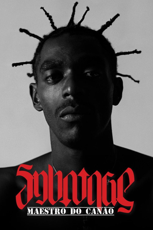 Sabotage: Maestro do Canão Poster