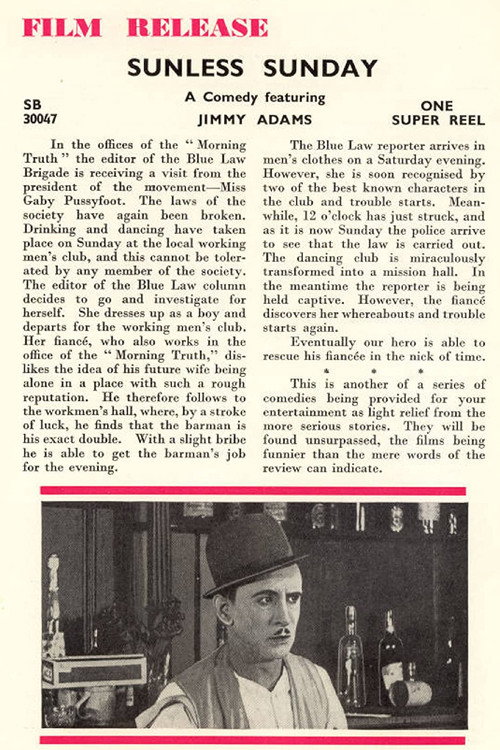 Sunless Sunday Poster