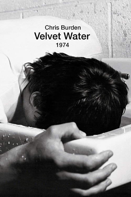 Velvet Water Poster