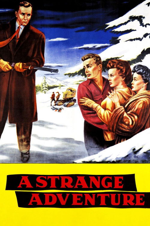 A Strange Adventure Poster