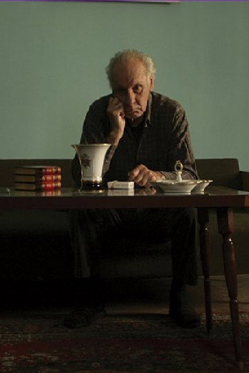 Liberation in 26 Pictures Poster