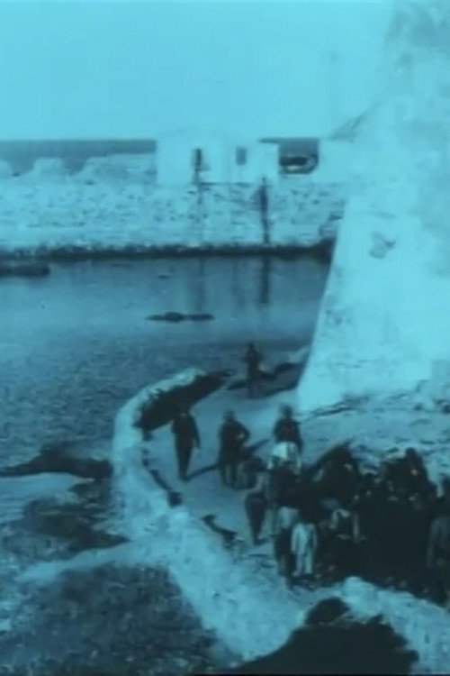 Dolorosi episodi della guerra Italo-Turca Poster