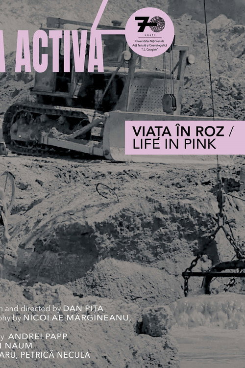 Life in Pink Poster